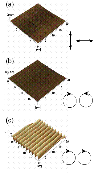 AZOJOMO - AZO材料在线期刊-光交联聚合物液晶上欧洲杯足球竞彩(a)、(b)偏振全息记录光栅和(c)强度全息记录光栅的典型AFM三维视图。