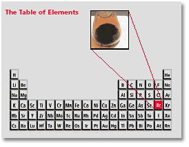 金属，陶瓷，聚合物和复合材料。溴和元素周期表。