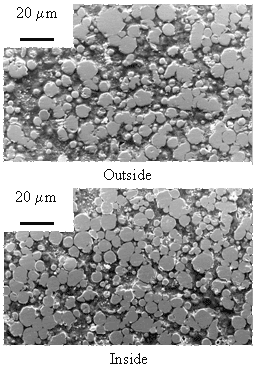 AZoJomo - AZO材料在线杂志- Ni-20Cr(欧洲杯足球竞彩5µm)体的横截面图，由PECS与LD模具在700℃模具温度下烧结5min