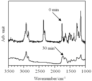 对80层p(TDMA-tBVPC56) LB薄膜的红外光谱进行了研究。