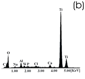 AZojomo -《AZo Journal of Mater欧洲杯足球竞彩ials Online》钛合金样品经化学处理、热处理后浸泡在0.85SBF中21天。EDX谱。