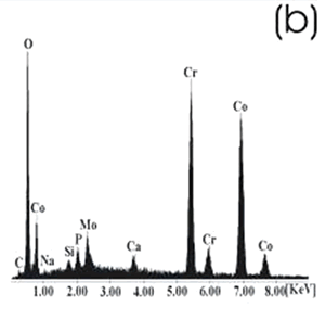 AZojomo -“AZo Journal of Mater欧洲杯足球竞彩ials Online”的Co合金样品经化学处理、热处理和浸泡21天后在0.85SBF中。(b) EDX频谱。