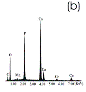 AZojomo -“AZo Journal of Mater欧洲杯足球竞彩ials Online”Co合金样品经化学处理、热处理和在1.3SBF中浸泡21天后。(b) EDX频谱。