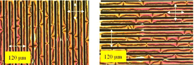 偶氮jomo -材料在线杂志-交叉偏振器间欧洲杯足球竞彩光对准LC电池的极化显微照片。