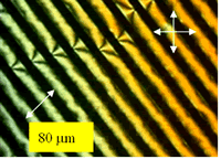 偶氮jomo -材料在线杂志-交叉偏振器之欧洲杯足球竞彩间45°光对准LC电池的偏振光显微照片