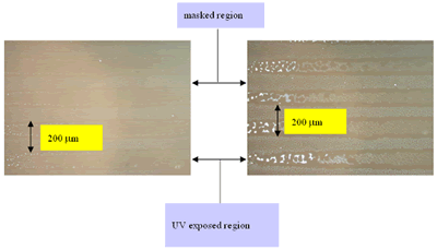 AZoJoMO - Journal of 欧洲杯足球竞彩Materials Online - the Polarized microphotos of unpolarized uv exposed PI-VA alignment film for (a) 2 hours (b) 3 hours of蒸发，under crossed polarization izers. (AZoJoMO - Journal of Materials Online)